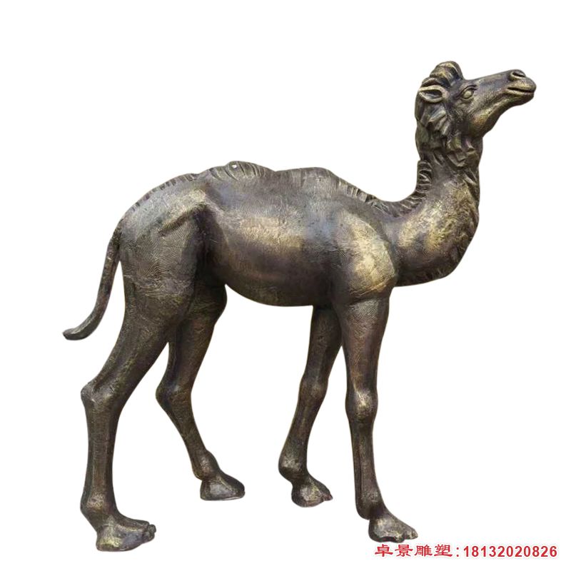 骆驼动物铜雕