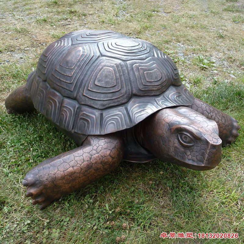 动物乌龟铜雕 