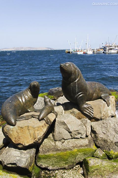 海豹铜雕